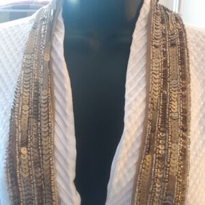 Gold & Silver Sequence Scarf/Belt v
